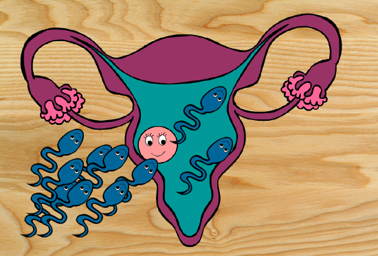 Free Printable Paste the Sperm on the Egg Baby Shower Game