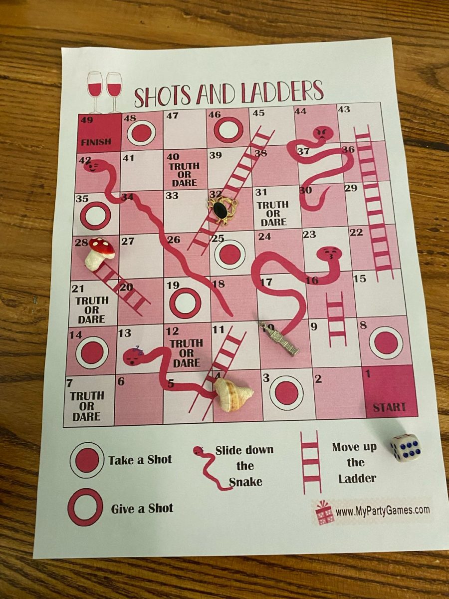Shots and Ladders game for adults